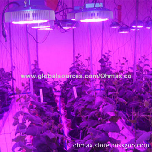 LED Hydroponic Grow Lamp, with Plant Factory Researching Planting Solution for Various Plants